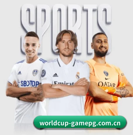 五大服务分区,信息按项目分类（PG）