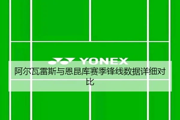 阿尔瓦雷斯与恩昆库赛季锋线数据详细对比